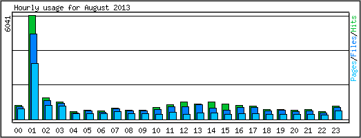 Hourly usage