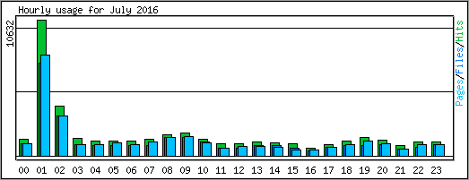 Hourly usage