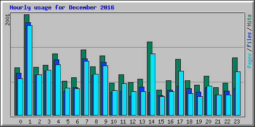 Hourly usage for December 2016