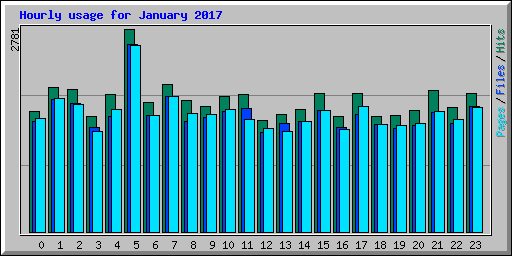 Hourly usage for January 2017